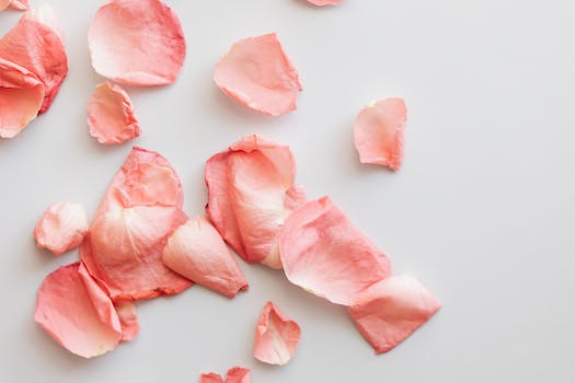 Random Chat Platforms: Omegle Alternatives